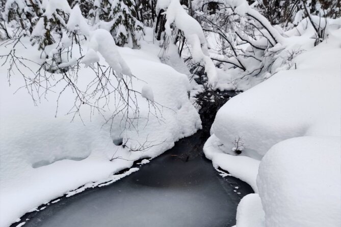Rovaniemi: Winter Wonderland Vikaköngäs Hiking Tour & BBQ - Key points to know before you book