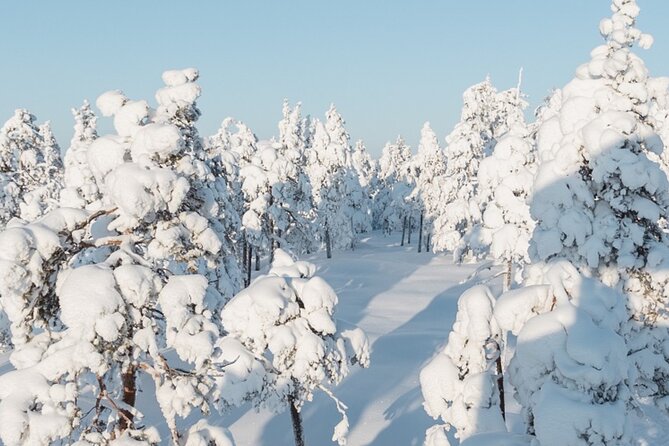 Rovaniemi: Winter Wonderland Vikaköngäs Hiking Tour & BBQ - What happens during the three-hour Vikaköngäs visit