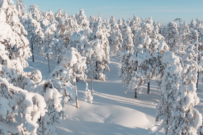 Rovaniemi: Winter Wonderland Vikaköngäs Hiking Tour & BBQ - The campfire BBQ is more than a meal