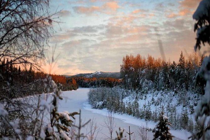 Rovaniemi: Winter Wonderland Vikaköngäs Hiking Tour & BBQ - The forest, frozen water, and views from the watchtower