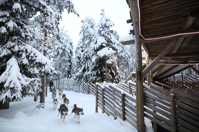 Santa Claus Village, Husky and Reindeers Combo Safari - Key points before you book