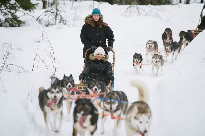 Santa's Reindeer & Husky Safari + Aurora BBQ in Rovaniemi - Is the $289 price fair?