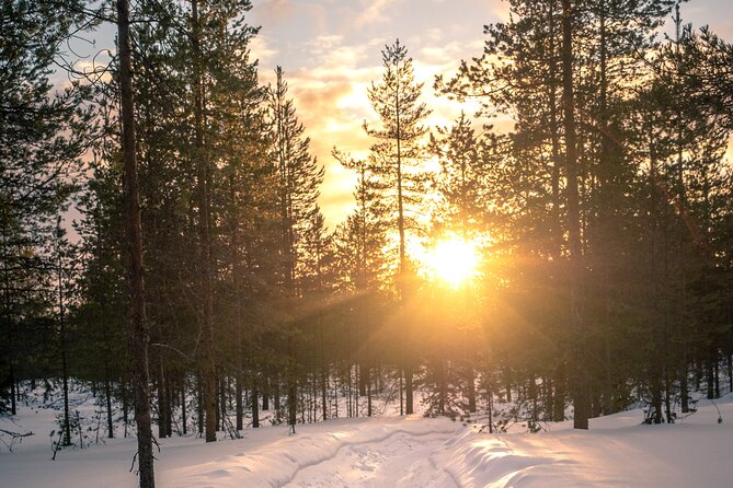 Scenic electric fat bike group ride in Rovaniemi - Riding the Ounasvaara winter trails