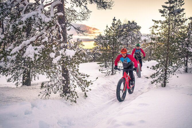 Scenic electric fat bike group ride in Rovaniemi - The final climb to Tottorakka