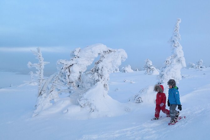 Scenic Snowshoeing on the Top of Pyhä Fell - A warm berry drink in the cold