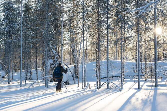 Ski Trek to the Wilderness - Extra Small group - Learning to use trekking skis