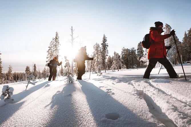Ski Trekking Safari in Lapland - Getting used to backcountry skis