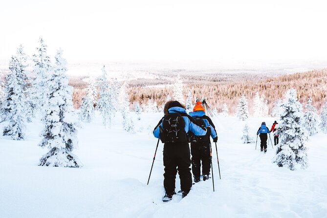 Ski Trekking Safari in Lapland - What the four-hour schedule really includes