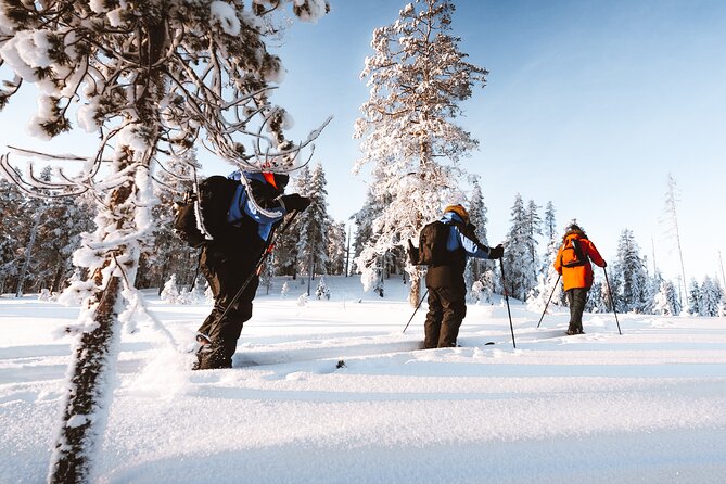 Ski Trekking Safari in Lapland - Is $131.32 a fair price?