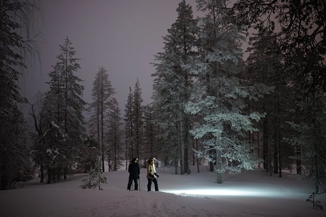 Ski Trekking under the Northern Lights - Hunting for the Northern Lights without a promise