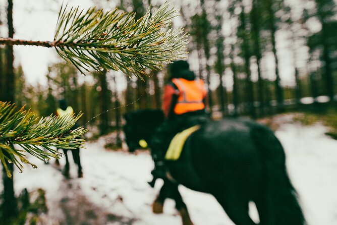 Small-Group Arctic Circle Horse Riding from Rovaniemi - From Rovaniemi to a small farm in Lapland