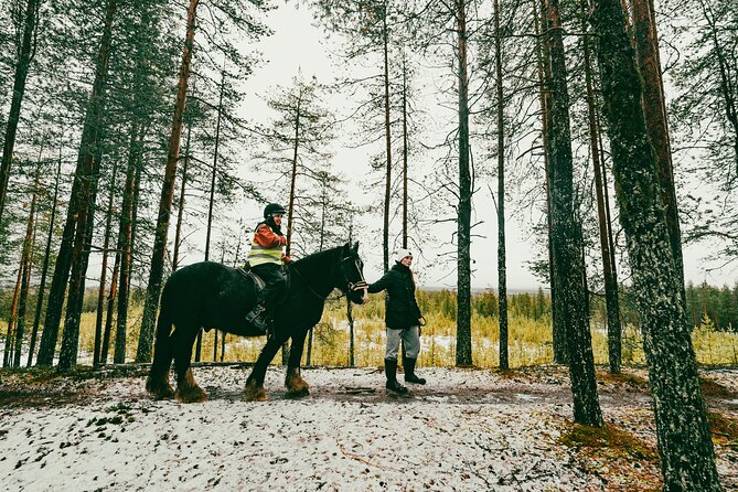 Small-Group Arctic Circle Horse Riding from Rovaniemi - A warm finish by the fire