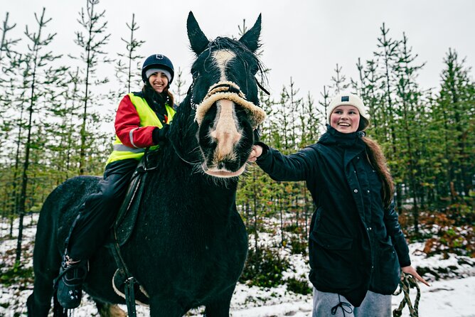 Small-Group Arctic Circle Horse Riding from Rovaniemi - Why the group size matters