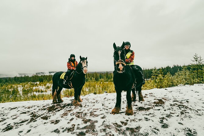 Small-Group Arctic Circle Horse Riding from Rovaniemi - Is $145 good value?