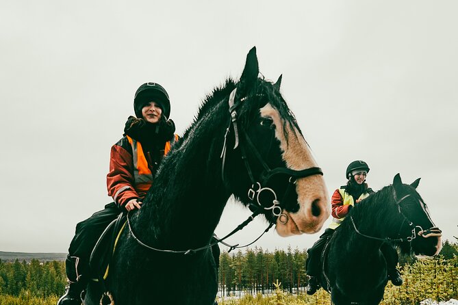 Small-Group Arctic Circle Horse Riding from Rovaniemi - Who should book this horse ride?