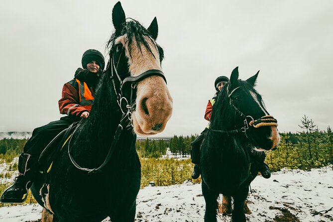 Small-Group Arctic Circle Horse Riding from Rovaniemi - Timing, cancellations, and useful planning tips