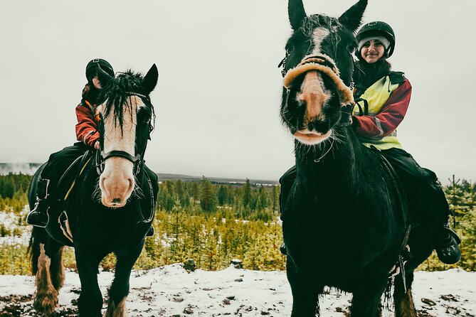 Small-Group Arctic Circle Horse Riding from Rovaniemi - Riding forest paths for about three hours