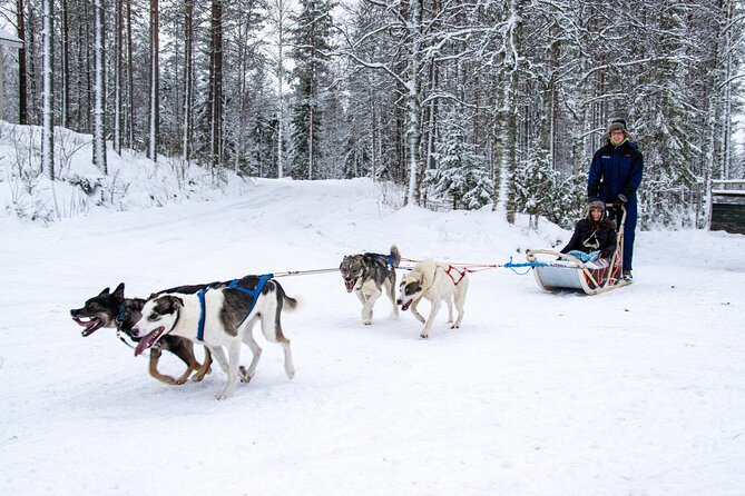 Small-Group Husky Mushing Experience in Rovaniemi - The 45-minute ride from Rovaniemi to Parpalandia