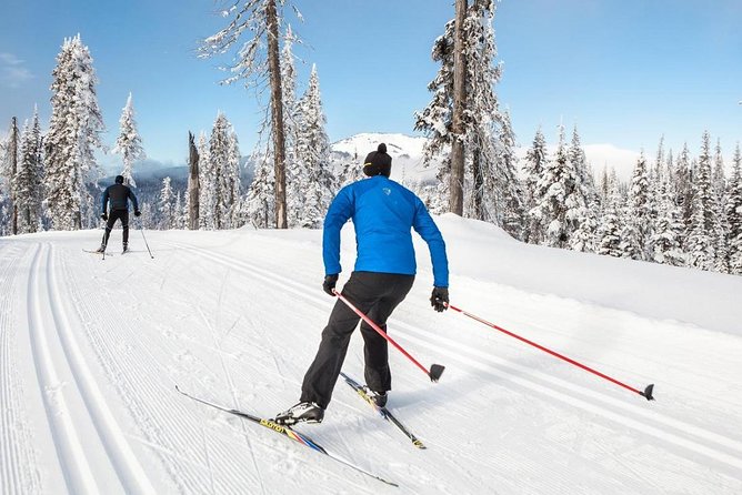 Small-Group Lapland Cross Country Ski - Why cross-country skiing fits Rovaniemi