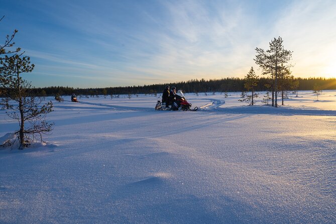 Small-Group Snowmobile Experience in Rovaniemi - What the small group changes