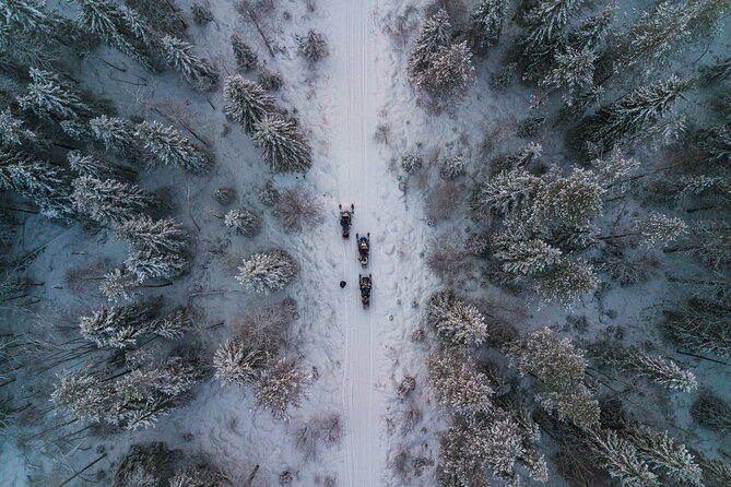 Small-Group Snowmobile Experience in Rovaniemi - Who should book this snowmobile ride?