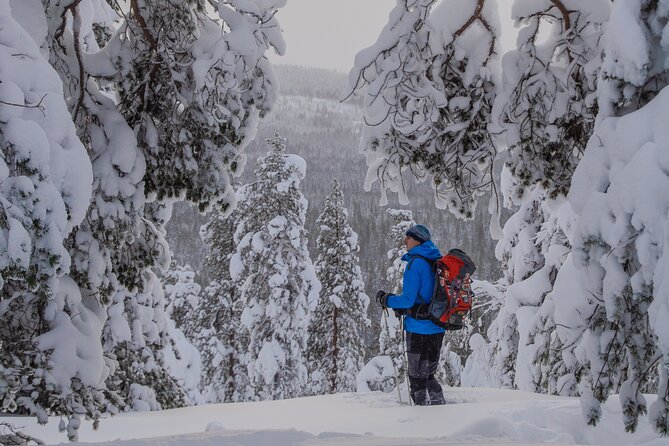 Small-Group Snowshoeing Adventure In Lapland - A Warm Break in the Snow