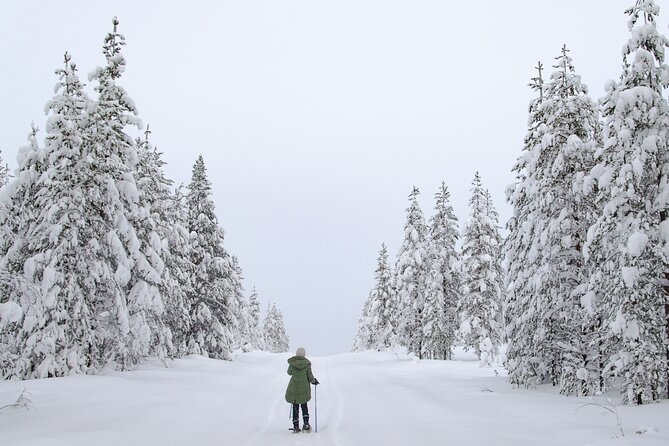 Small-Group Snowshoeing Adventure In Lapland - Can This Become a Northern Lights Trip?