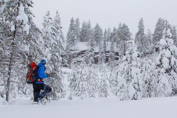 Small-Group Snowshoeing Adventure In Lapland - Who Will Enjoy This Snowshoe Walk?
