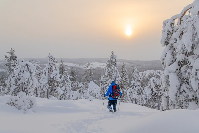 Small-Group Snowshoeing Adventure In Lapland - A Three-Hour Walk Through Lapland’s Quiet Woods