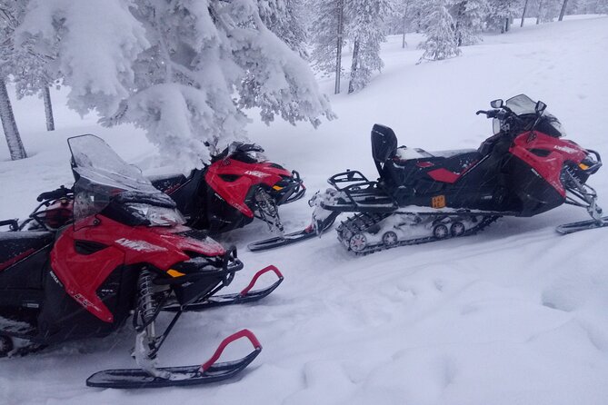Snowmobile and Ice Fishing Excursion (private tour) - Leaving Rovaniemi for the Arctic Circle wilderness