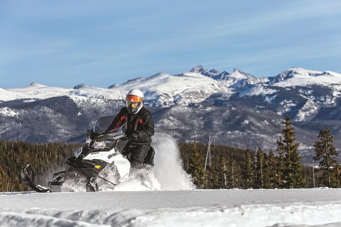 Snowmobile & Animals Day Tour - Three Arctic classics before lunch
