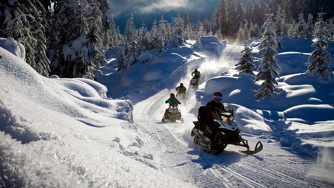 Snowmobile & Animals Day Tour - The reindeer sleigh: slow, calm, and rooted in Lapland