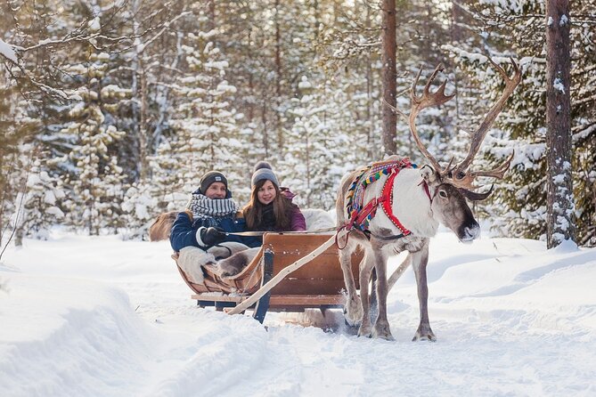 Snowmobile & Animals Day Tour - Timing, transport, and winter clothing