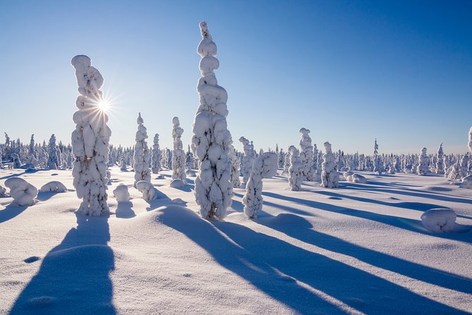 Snowmobile Driving - Morning start - Winter clothing and comfort in Rovaniemi