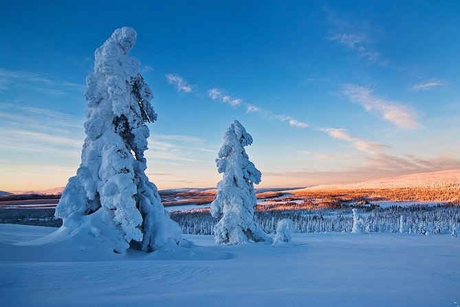 Snowmobile Driving - Morning start - Is $153.31 a fair price?