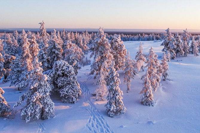 Snowmobile Driving - Morning start - Language and guide expectations