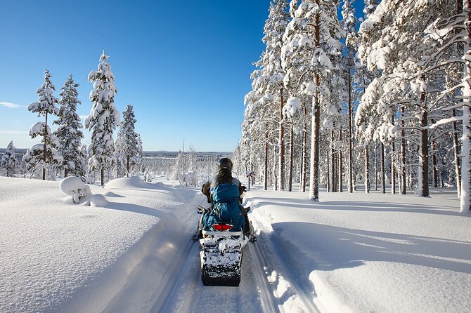 Snowmobile Safari 2h - Learning the machine before the forest route