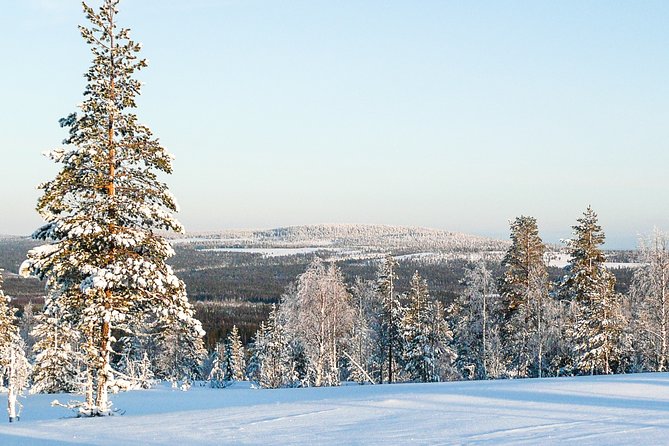 Snowmobile Safari in the Forest - Getting ready for the snowmobile