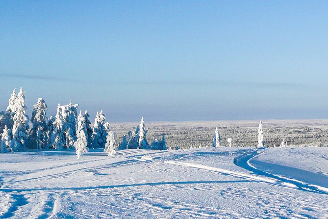 Snowmobile Safari in the Forest - The open-fire lunch stop