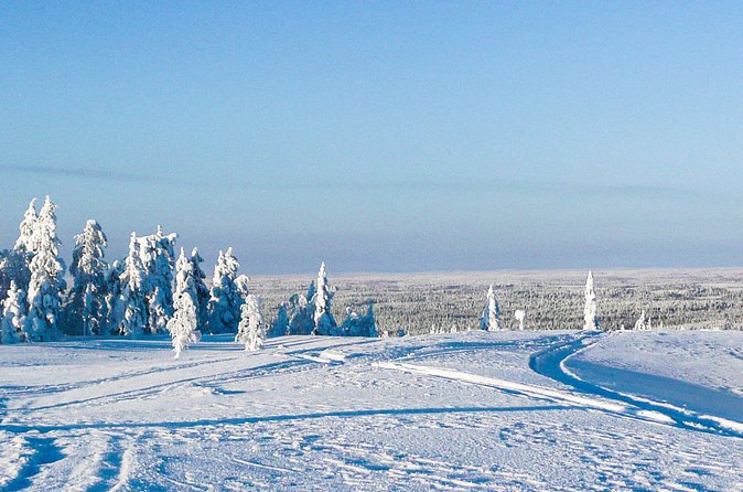 Snowmobile Safari in the Forest - Is $264.72 a fair price?