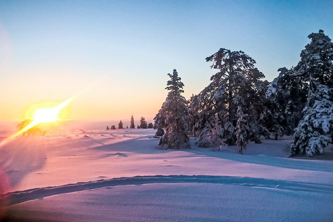 Snowmobile Safari in the Nature - What the $183.72 price includes