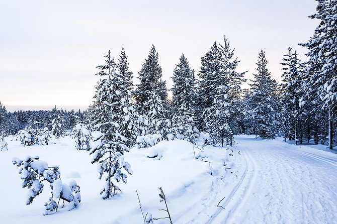 Snowmobile Safari in the Nature - Who will enjoy this safari most