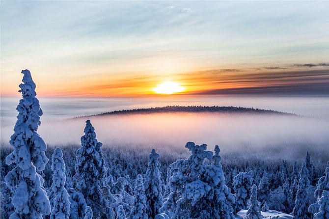Snowmobile Safari in the Nature - Timing, transport, and cancellation details