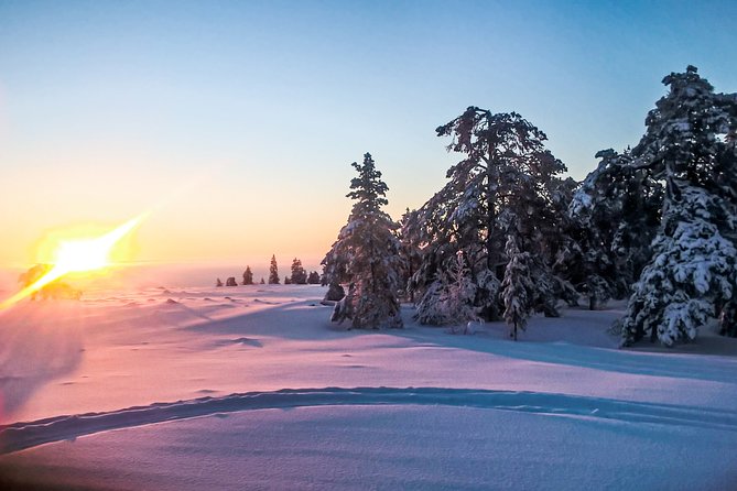 Snowmobile Safari in the Nature - Morning start - From central Rovaniemi to the snowy trails