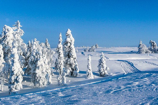 Snowmobile Safari in the Nature - Morning start - Who should book this Rovaniemi safari?