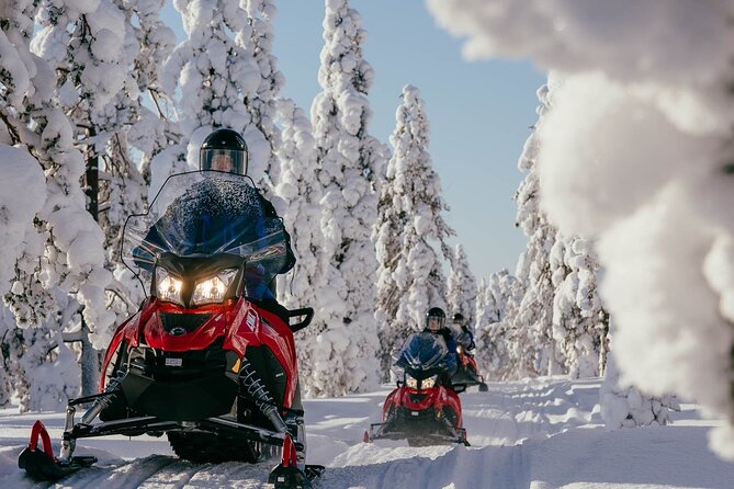 Snowmobile Safari into the Arctic Circle Forest - What makes this Arctic ride worth your time