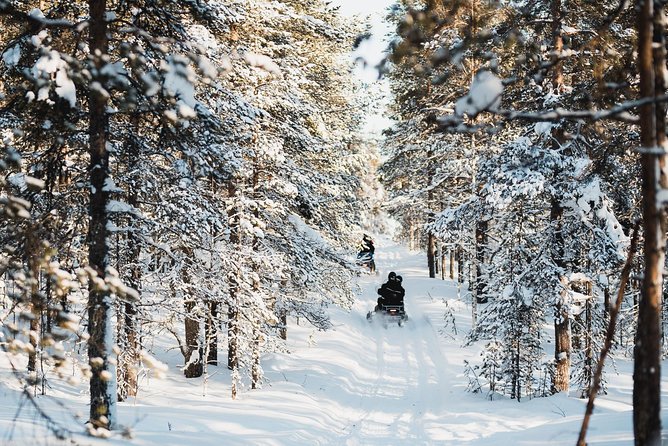 Snowmobile Safari into the Arctic Circle Forest - Riding through snowy forest trails