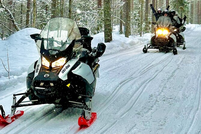 Snowmobile Safari to Arctic Nature - About one hour of snowmobile riding