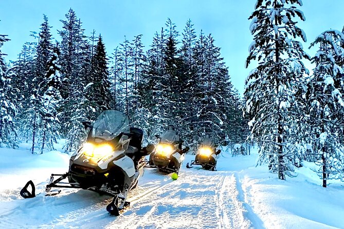 Snowmobile Safari to the Wilderness - A wilderness lunch over an open fire