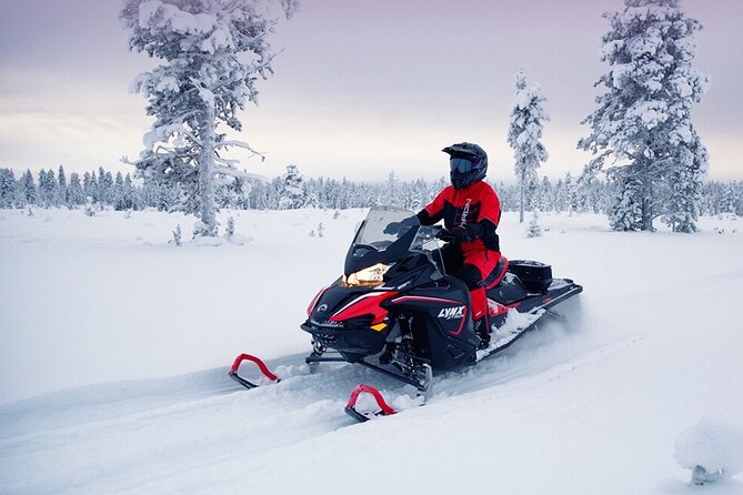 Snowmobile Tour with Small Group in Remote Wilderness 3 Hours - Riding through snowy forests and across frozen lakes
